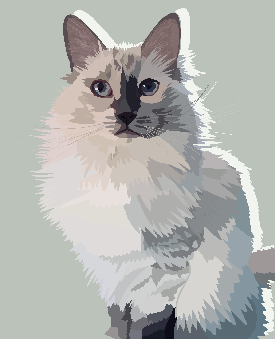 Pet Portrait